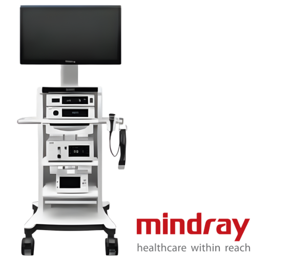 imagen_2026-02-05_162353098